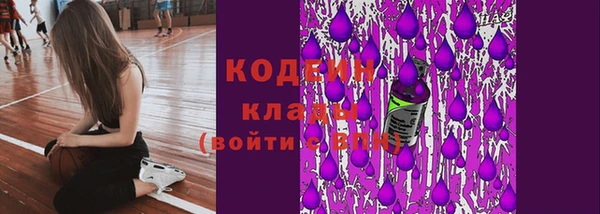 СК Михайловск